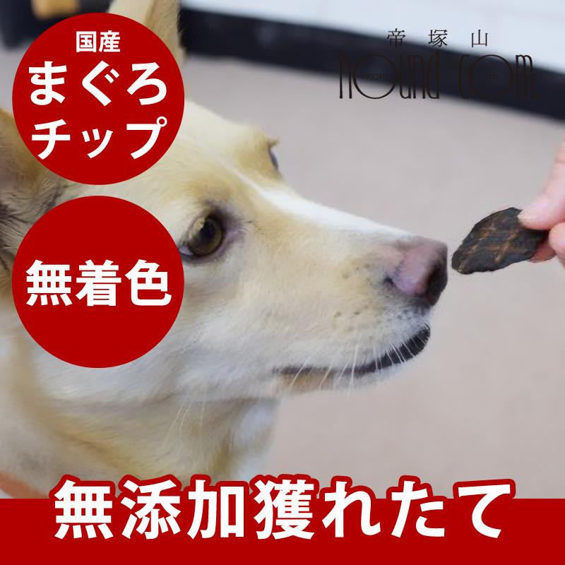 犬 猫 おやつ 安心 魚 無添加 獲れたて まぐろチップ Persian Kitten Com