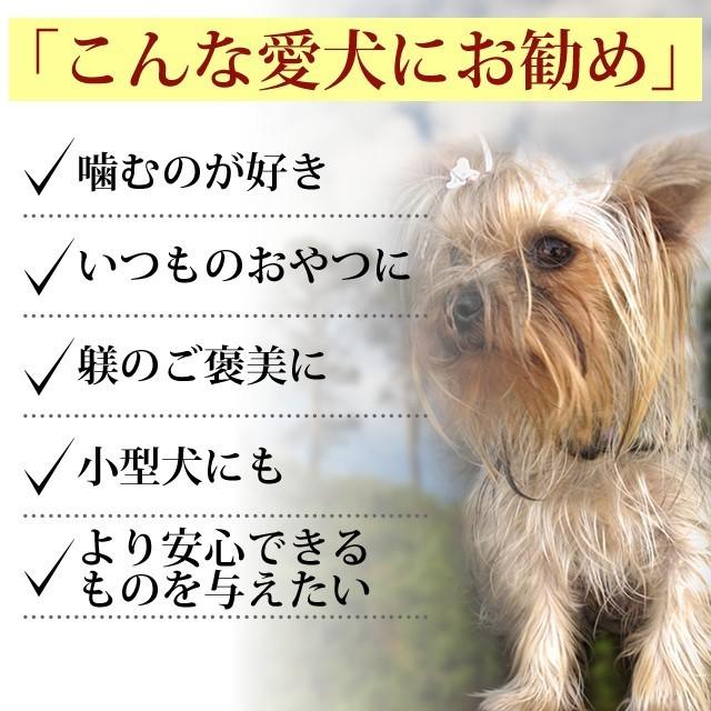 6月限定 犬用おやつ 紀州うめどり ささみコロコロステーキ 5 1袋セット Tge 090985s5 犬デンタルケア帝塚山ハウンドカム 通販 Yahoo ショッピング