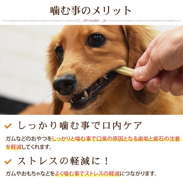 犬 おやつ 国産 柔らかガム なた豆ライスガムソフト｜houndcom｜02