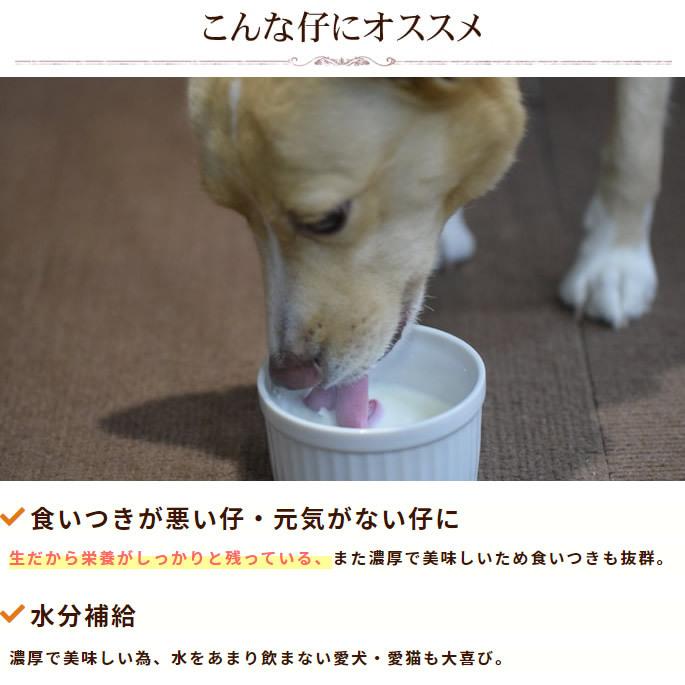 犬用 濃厚国産生ヤギミルク プレミアム6本セット 新鮮 フレッシュ 国産 安全 安心 Tge 犬手作りごはん帝塚山ハウンドカム 通販 Yahoo ショッピング