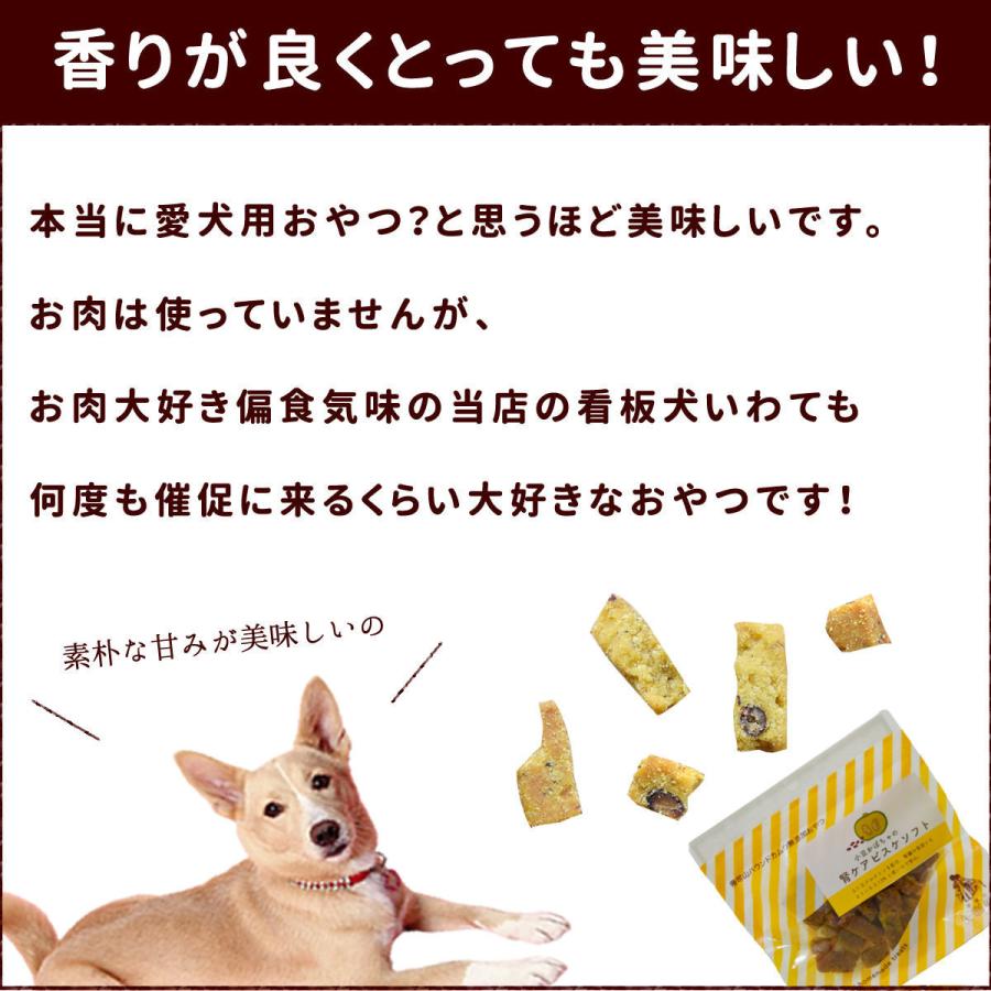 犬 おやつ 無添加 小豆かぼちゃの腎ケアビスケソフト60g｜houndcom｜08