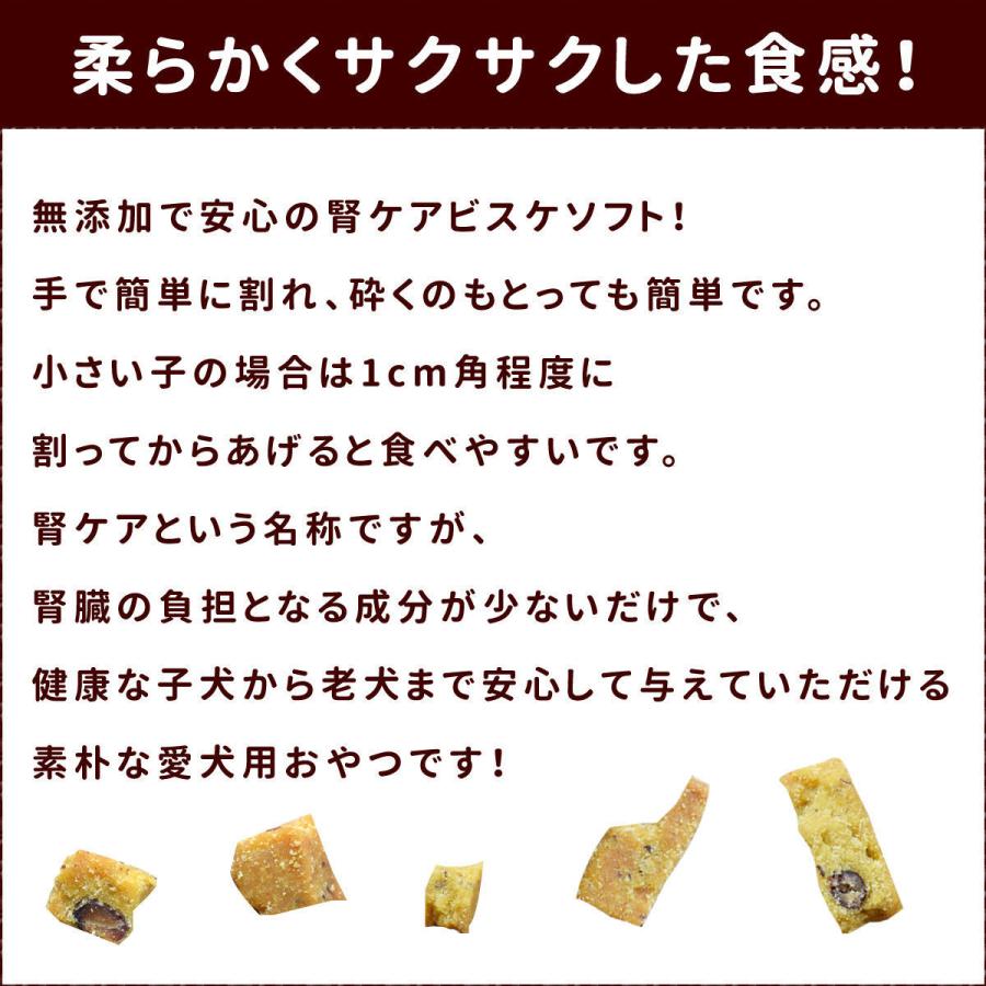 犬用無添加おやつ 小豆かぼちゃの腎ケアビスケソフト60g 10 1袋セット 低リンで腎臓に配慮されたおやつ Tge 犬手作りごはん帝塚山ハウンドカム 通販 Yahoo ショッピング