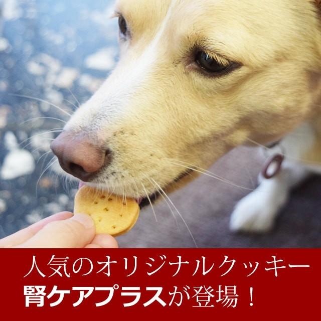 犬用無添加おやつ 腎ケアクッキービスケ2種セット 低リンで腎臓に配慮 Tge 犬手作りごはん帝塚山ハウンドカム 通販 Yahoo ショッピング