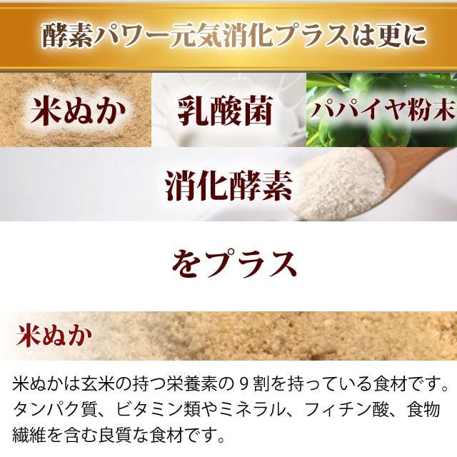 犬用猫用 野菜 酵素パワー元気消化プラス　発酵野菜パウダー 1kg(500g×2袋)  発酵食品｜houndcom｜10