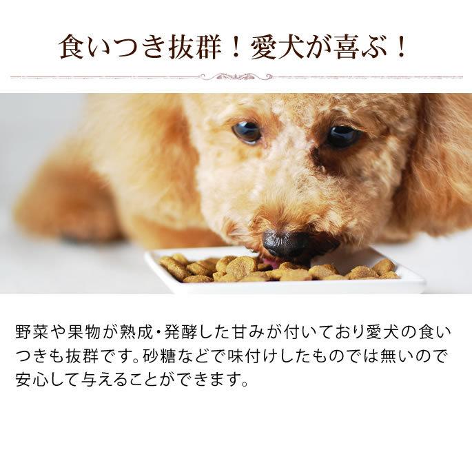 犬用猫用 野菜 酵素パワー元気消化プラス　発酵野菜パウダー 1kg(500g×2袋)  発酵食品｜houndcom｜12