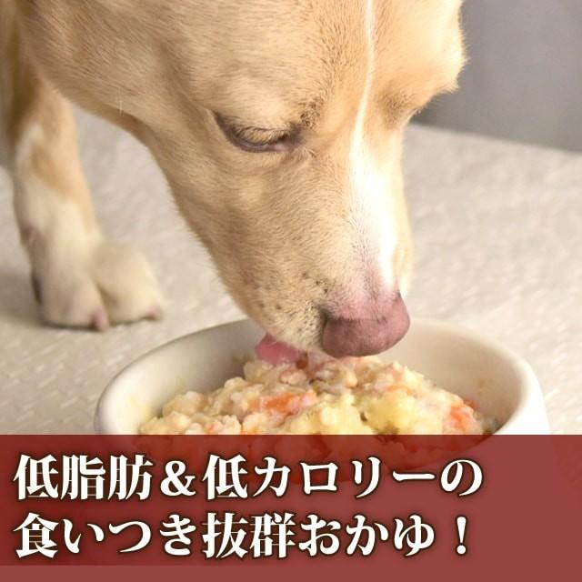 愛犬の安心レトルトごはん 低カロリーササミと卵のおかゆ100g 犬用　無添加　国産　低脂肪　低カロリー｜houndcom｜02