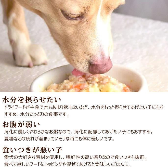 愛犬の安心レトルトごはん おかゆ2つの味セット（ササミと卵＆馬肉とかぼちゃのミルクがゆ）100g各6袋 犬用　無添加｜houndcom｜12