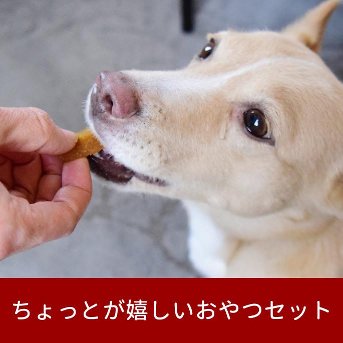 犬用おやつセット 腎ケアミニおやつセット 国産 安心 トリーツ 低リンで腎臓に配慮されたおやつ Tge 犬手作りごはん帝塚山ハウンドカム 通販 Yahoo ショッピング
