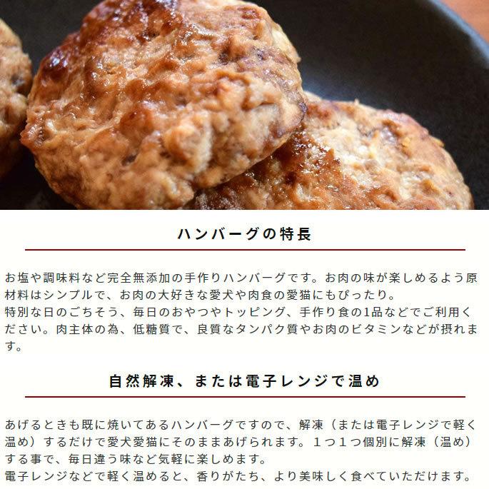 予約販売10月23日以降出荷 冷凍 犬用猫用ハンバーグ 3つの味ハンバーグ食べ比べセット Tge 犬手作りごはん帝塚山ハウンドカム 通販 Yahoo ショッピング