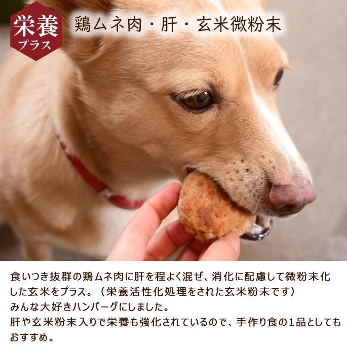予約販売10月23日以降出荷 冷凍 犬用猫用ハンバーグ 3つの味ハンバーグ食べ比べセット Tge 犬手作りごはん帝塚山ハウンドカム 通販 Yahoo ショッピング