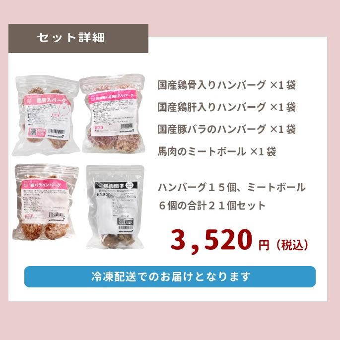 冷凍 犬用猫用ハンバーグ 4つの味ハンバーグとミートボール食べ比べセット その他ドッグフード オススメ追加商品 0tge r 冷凍便酵素パワー元気100g 748円 Www Estudiojuridicomora Com