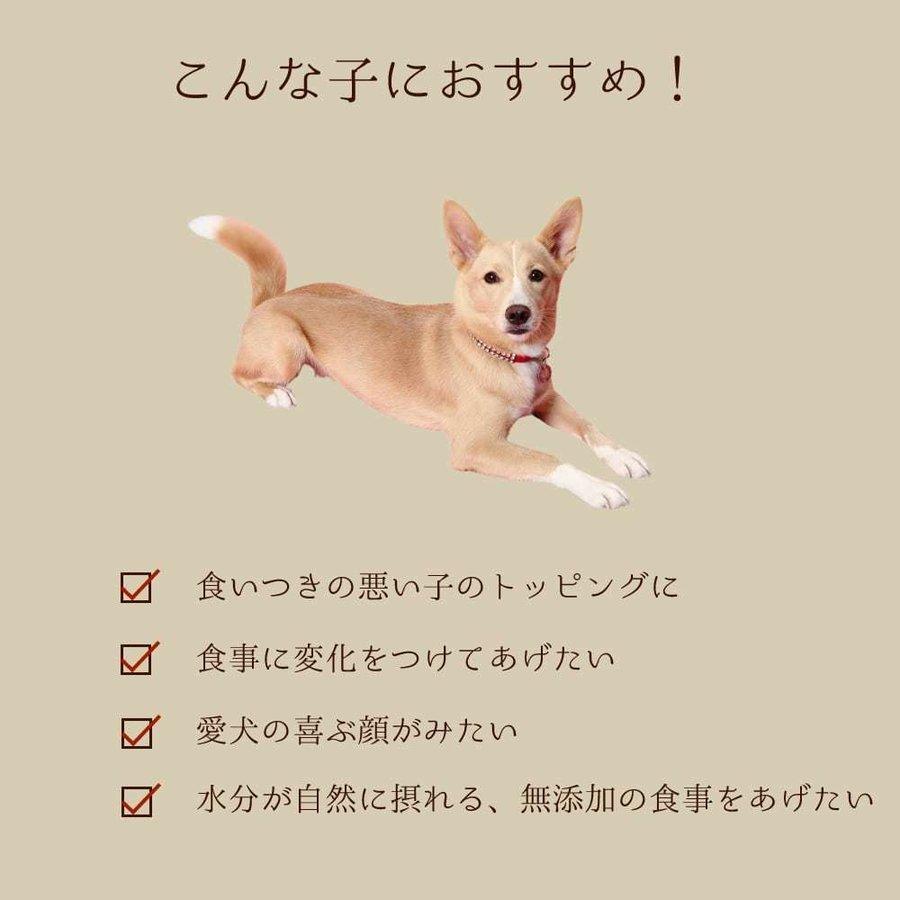 愛犬の安心レトルトごはん　6つの味アソートセット　100g×6種（各1袋）犬用　無添加　国産　ウェットフード　子犬から成犬・シニアまで｜houndcom｜12