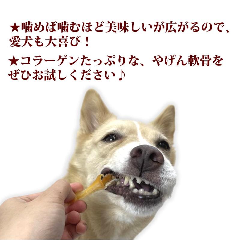 犬 おやつ 犬 ペット 用 おやつ 無添加 ジャーキー 低脂肪 鶏 なんこつ 固め 硬め デンタル 小型犬 中型犬 やげん軟骨カルシウムジャーキー35g×11袋の画像