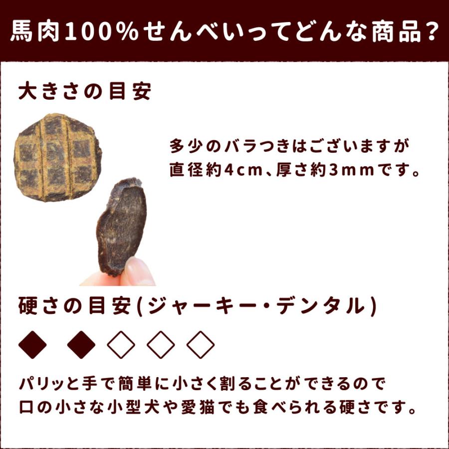 犬 おやつ 犬 猫 ペット 用 おやつ 無添加 ジャーキー 馬 馬肉 全犬種 安心 安全 小型犬 中型犬 大型犬 馬肉100％せんべい 50g×10袋+1袋セットの画像