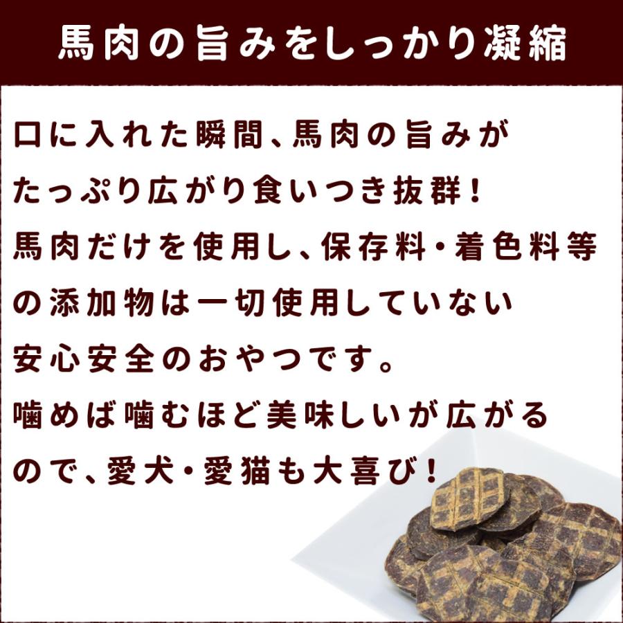 犬 おやつ 犬 猫 ペット 用 おやつ 無添加 ジャーキー 馬 馬肉 全犬種 安心 安全 小型犬 中型犬 大型犬 馬肉100％せんべい 50g×10袋+1袋セットの画像