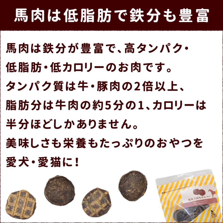 犬 おやつ 犬 猫 ペット 用 おやつ 無添加 ジャーキー 馬 馬肉 全犬種 安心 安全 小型犬 中型犬 大型犬 馬肉100％せんべい 50g×10袋+1袋セットの画像