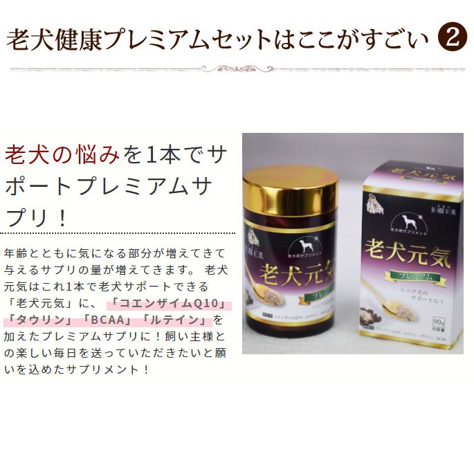 老犬健康プレミアムセットa0367 |  | 06