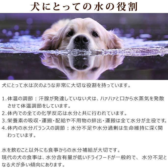 水分補給セット 犬猫用 おやつ 手作り食 冷凍 エゾ鹿スープ 犬と猫のためのヨーグルト 生馬肉小分けトレー 豚骨スープ 4点セットが期間限定でお得 Tge Set09 犬手作りごはん帝塚山ハウンドカム 通販 Yahoo ショッピング