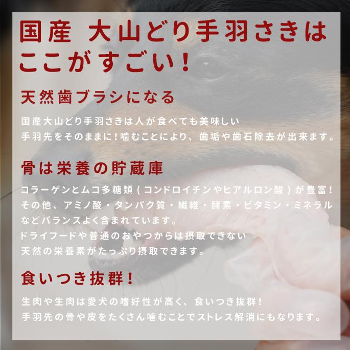 タイムセール10 Off 愛犬の手作り食の栄養補給 歯石予防に 国産大山どり手羽さき ５本入り Tge Tori 犬手作りごはん帝塚山ハウンドカム 通販 Yahoo ショッピング