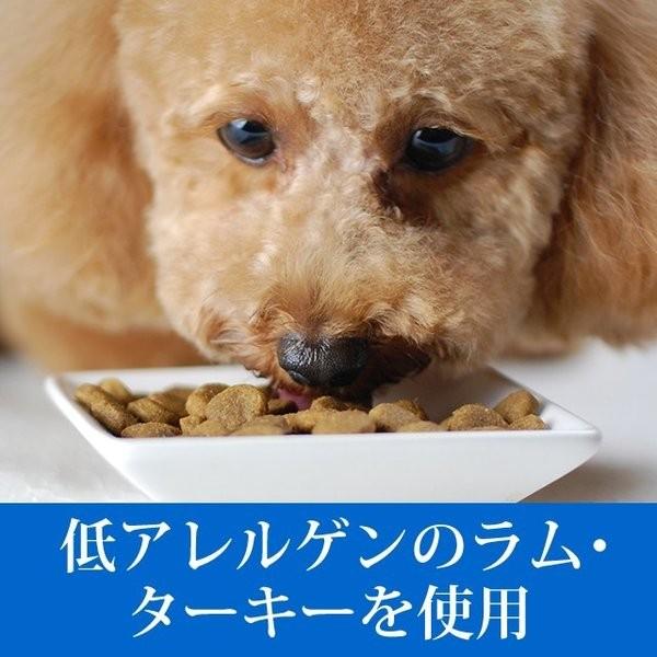 ドッグフード 犬 ドライフード 総合栄養食 高齢犬 シニア 穀物不使用 トライプドライ ラム 2.72kg 2袋セット オマケつき 防災 備蓄 保存食 |  | 01
