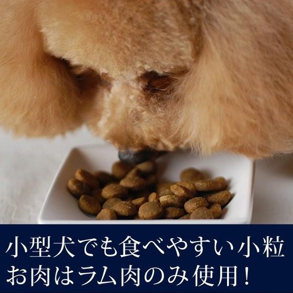 ドッグフード 犬 ドライフード 総合栄養食 単一動物性タンパク 高齢犬