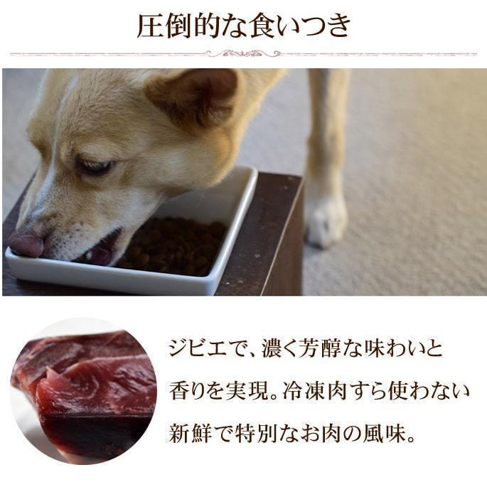 ドッグフード エンパイア スペシャルバランスダイエット ボトル 300g |  | 04