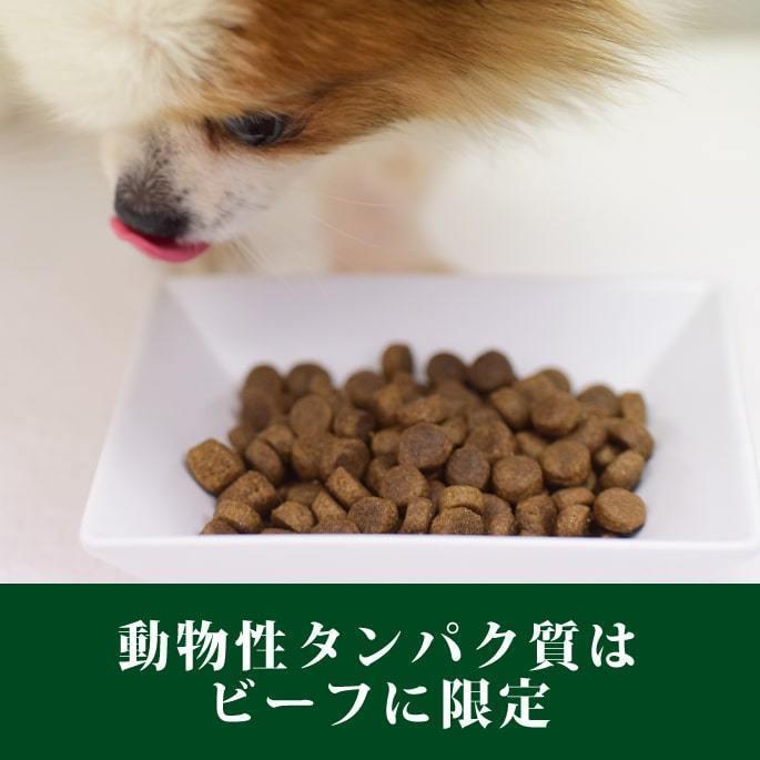 ドッグフード 犬 ドライフード 総合栄養食 単一動物性タンパク 高齢犬 シニア トライプドライ SAPビーフトライプ 小粒タイプ 907g 防災 備蓄 保存食 |  | 01