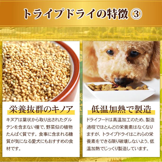 ドッグフード 犬 ドライフード 総合栄養食 単一動物性タンパク 高齢犬 シニア トライプドライ SAPビーフトライプ 小粒タイプ 907g 防災 備蓄 保存食 |  | 06