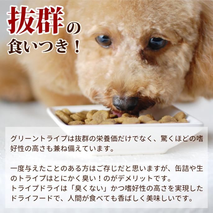 ドッグフード 犬 ドライフード 総合栄養食 単一動物性タンパク 高齢犬 シニア トライプドライ SAPビーフトライプ 小粒タイプ 907g 防災 備蓄 保存食 |  | 09