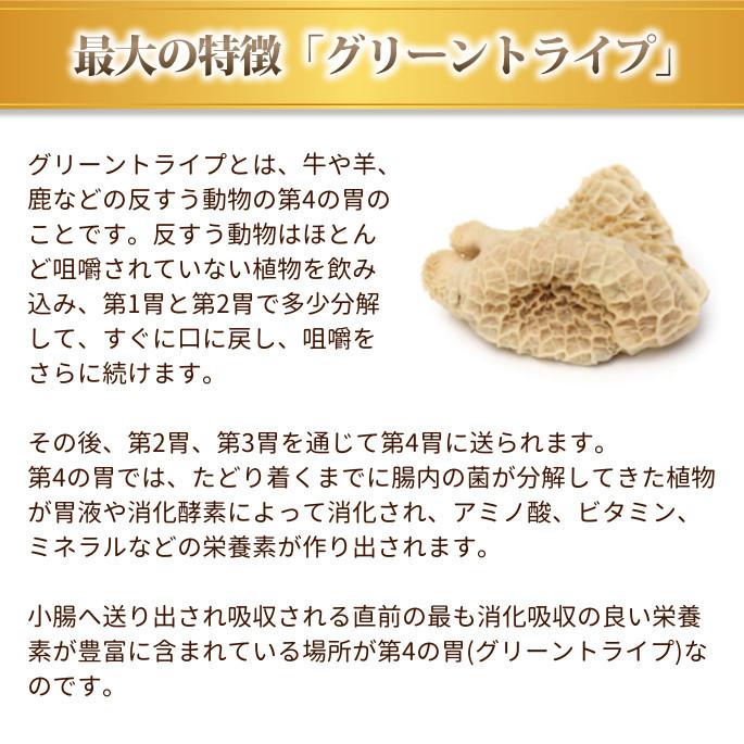 ドッグフード 犬 ドライフード 総合栄養食 チキン不使用 高齢犬 シニア 穀物不使用 トライプドライ グリーンベニソントライプ小粒　2.72kg 防災 備蓄 保存食 |  | 07