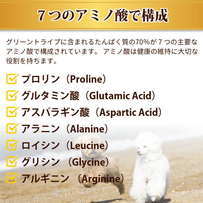 お取り寄せ 送料無料＆おまけ付き ドッグフード ドライフード 総合栄養食 チキン不使用 高齢犬 トライプドライ グリーンベニソントライプ小粒 6.35kg |  | 10