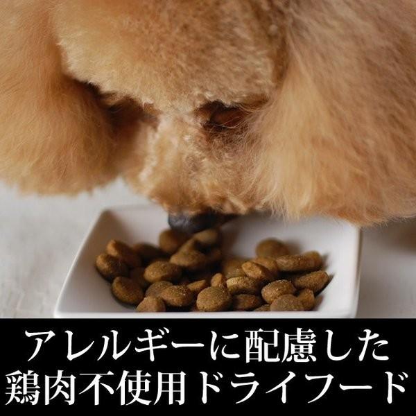 お取り寄せ 送料無料＆おまけ付き ドッグフード ドライフード 総合栄養食 チキン不使用 高齢犬 トライプドライ グリーンベニソントライプ小粒 6.35kg |  | 01