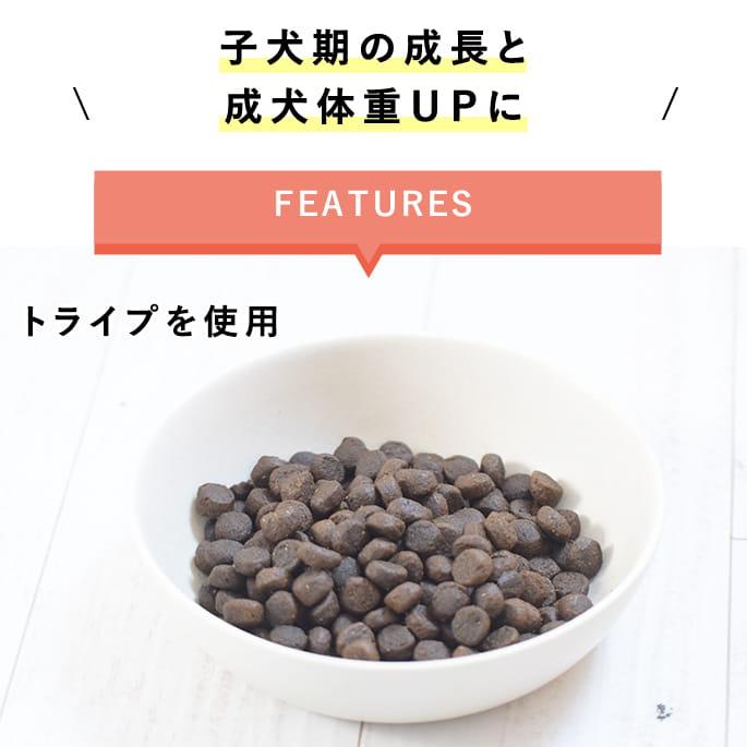 トライプドライ ドッグフード パピー＆ウェイトアップ グリーントライプ＆ワイルドサーモン 小粒 2.72kg |  | 01