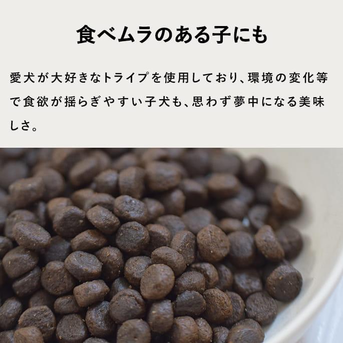 トライプドライ ドッグフード パピー＆ウェイトアップ グリーントライプ＆ワイルドサーモン 小粒 2.72kg |  | 04