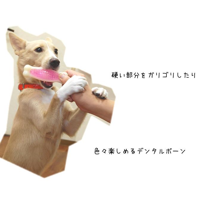 Hartz（ハーツ） 犬 おもちゃ デンタルボーン ソフトタイプMサイズ 犬