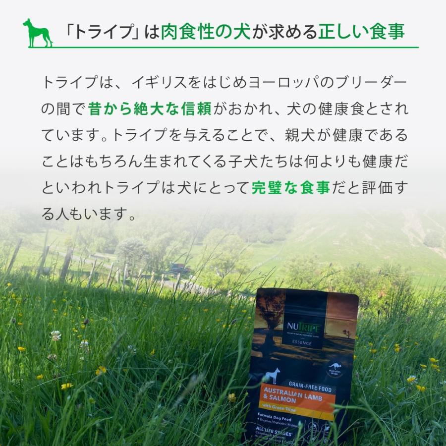 犬用 ニュートライプ　エッセンス ラム＆サーモンwithグリーントライプ 1.8kg 全年齢対応　ドライフード | NUTRIPE | 04