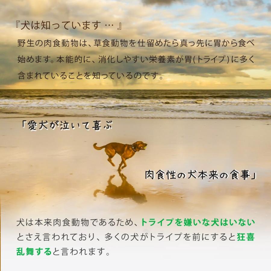 犬用 ニュートライプ　エッセンス ラム＆サーモンwithグリーントライプ 1.8kg 全年齢対応　ドライフード | NUTRIPE | 05