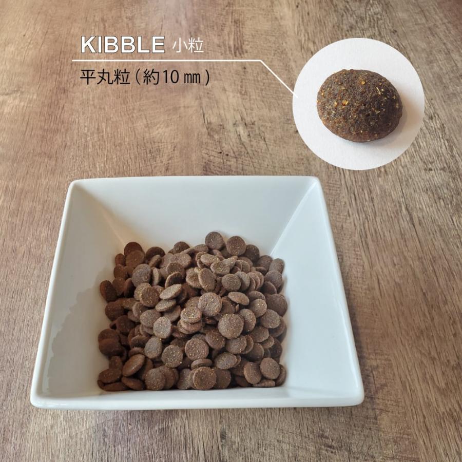 犬用 ニュートライプ　エッセンス サーモン＆オーシャンフィッシュwithグリーントライプ 200g 全年齢対応　ドライフード | NUTRIPE | 07