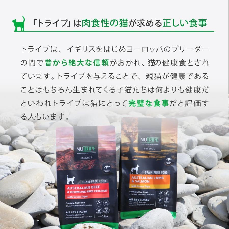 猫用　ニュートライプ　エッセンス　ビーフ＆チキンwithグリーントライプ　200g　キャットフード　NUTRIPE　全年齢対応総合栄養食　ドライフード | NUTRIPE | 04