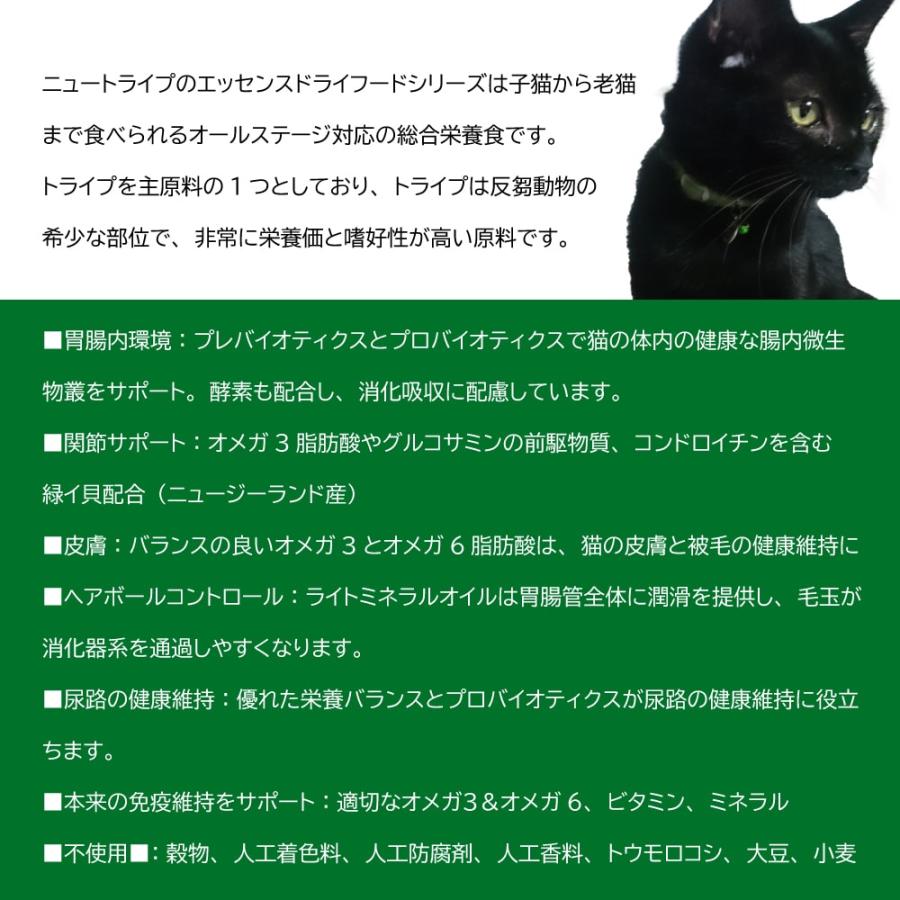 猫用　ニュートライプ　エッセンス　サーモン＆チキンwithグリーントライプ　6kg　キャットフード　全年齢対応総合栄養食　※6kgはお取り寄せ　ドライフード | NUTRIPE | 01