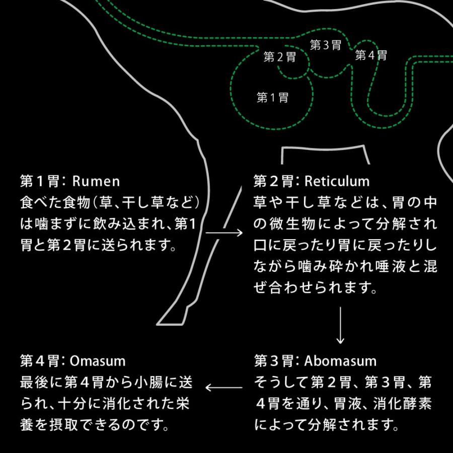 犬用　ニュートライプ　フリーズドライ　ワイルドカット　ラムwithグリーントライプ / キングサーモン＆ラムwithグリーントライプ　380g　全年齢対応　NUTRIPE | NUTRIPE | 06