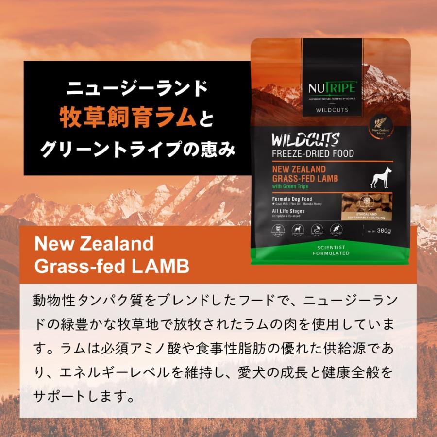 犬用　ニュートライプ　フリーズドライ　ワイルドカット　ラムwithグリーントライプ / キングサーモン＆ラムwithグリーントライプ　380g　全年齢対応　NUTRIPE | NUTRIPE | 11