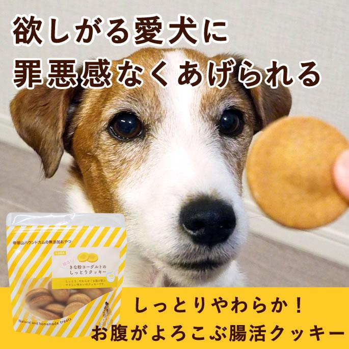 ヒルズ 尿ケアc/d ツナ&野菜入りシチュー 42缶 ニュートロナチュラル