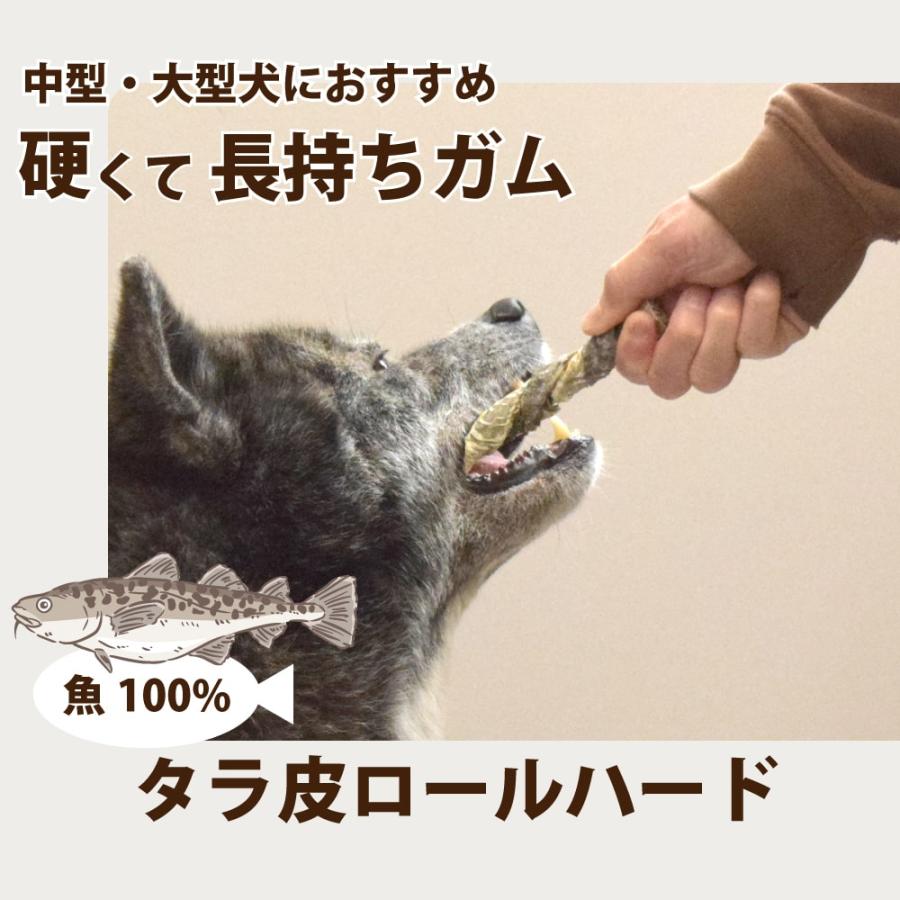 帝塚山ハウンドカム 中型犬 大型犬 ガム 長持ち タラ皮ロールハード 5