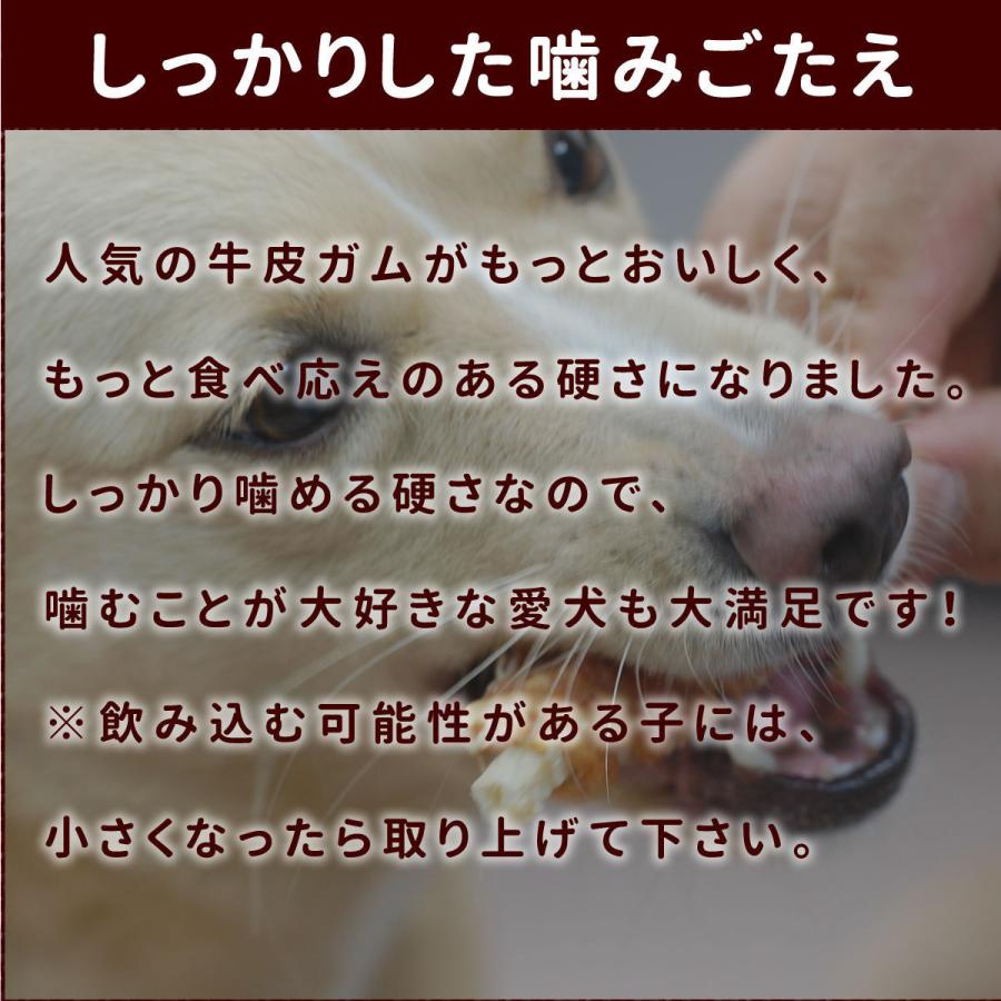 帝塚山ハウンドカム 犬 おやつ 無添加 低脂肪 国産 安心 ガム デンタル