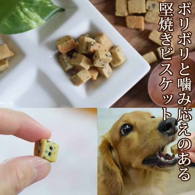 犬 おやつ お得 セット 散歩 愛犬用 お出かけおやつセット : 安心