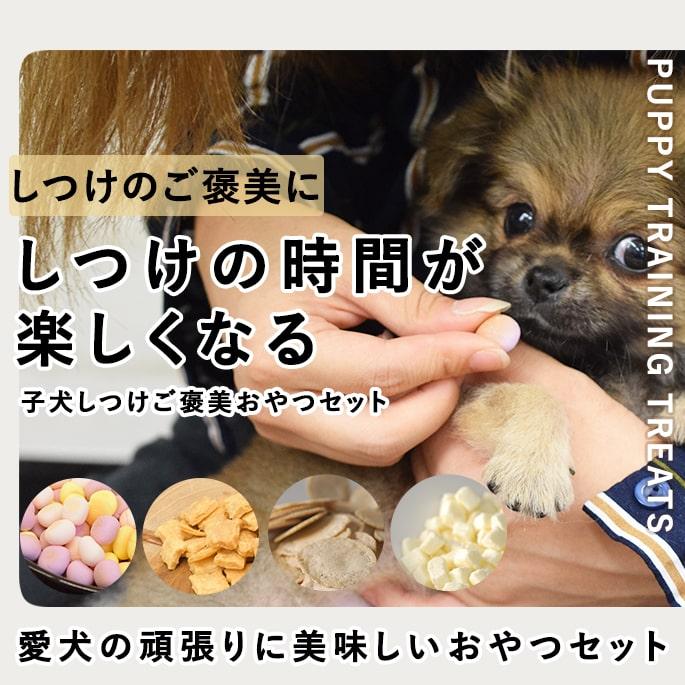 犬用おやつ｜子犬しつけご褒美おやつセット : 安心おやつ歯みがき