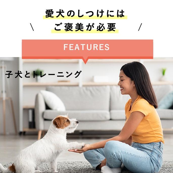 犬用おやつ｜子犬しつけご褒美おやつセット : 安心おやつ歯みがき