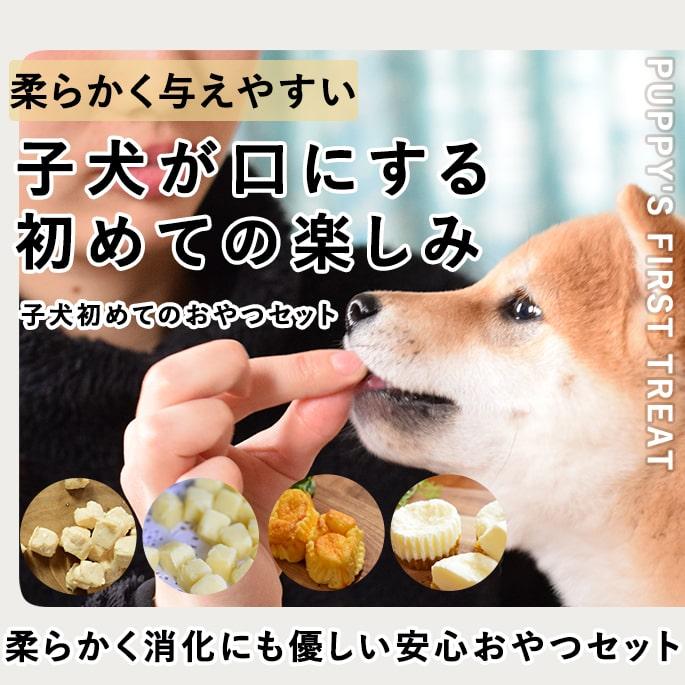 犬用おやつ｜子犬初めてのおやつセット【冷凍便】 : 安心おやつ