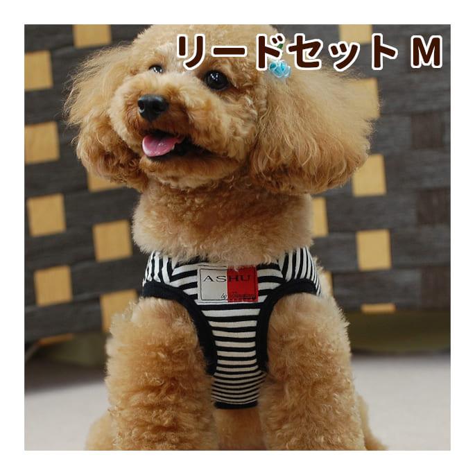 ASHU 犬 ハーネス ウェアハーネスボーダー＆リードセット Mサイズ